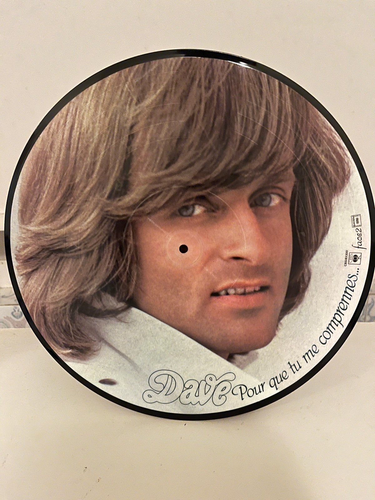 LP picture disc Dave 1978, Picture disc, Verzenden, LP
