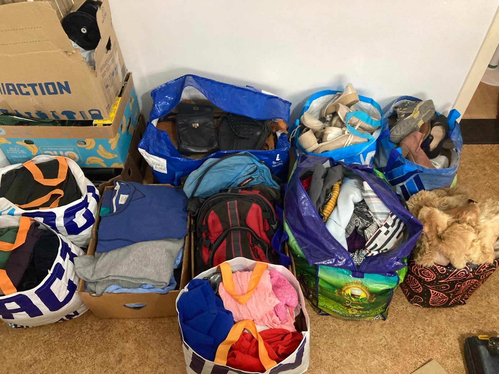 Lot merkkleren +-100kg / 50 paar schoenen 36/37 / Tassen, Ophalen of Verzenden, Zo goed als nieuw, Maat 36 (S)