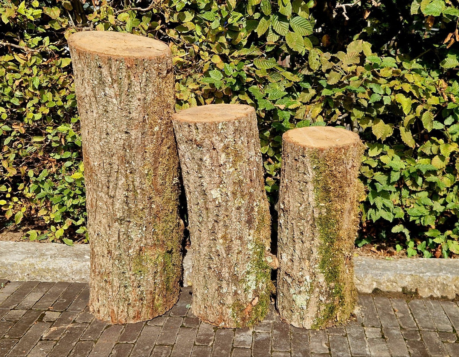 eiken stammen (droog), Tuin en Terras, Minder dan 3 m³, Ophalen, Eikenhout, Stammen