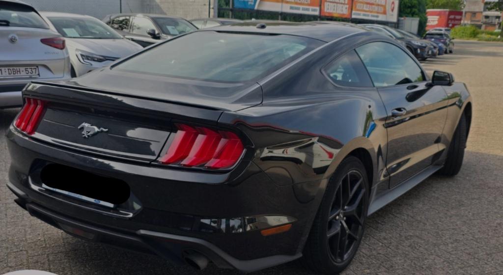 Ford Mustang 2.3 Pack GT Full Options avec CT Vente,Carpass., Autos, Ford, Cuir, Achat, Euro 6, Entreprise