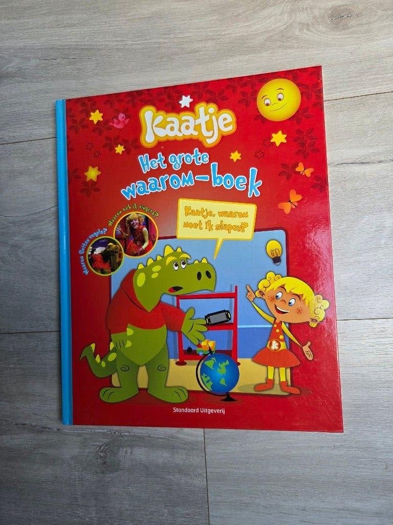 Boek Kaatje studio 100, Enlèvement, Comme neuf