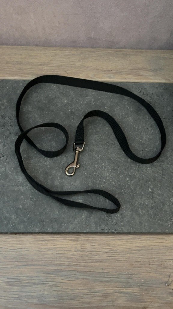 Accessoire animaux, Animaux & Accessoires, Enlèvement ou Envoi, Neuf, Accessoires pour laisse pour chien