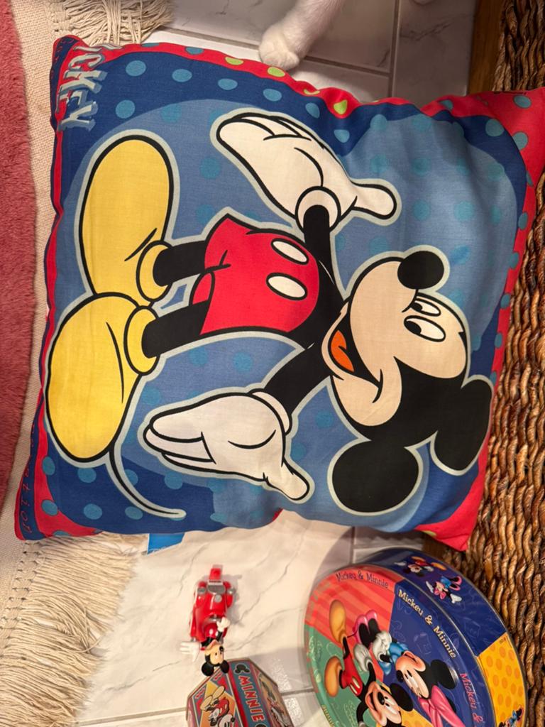 Allerlei Mickey, Ophalen of Verzenden, Zo goed als nieuw
