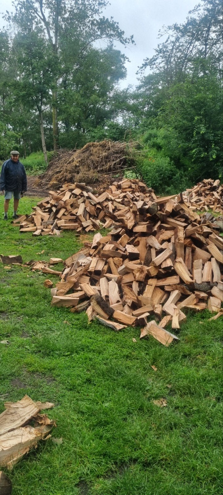 bois de chauffage : chêne, hêtre, frêne, Enlèvement