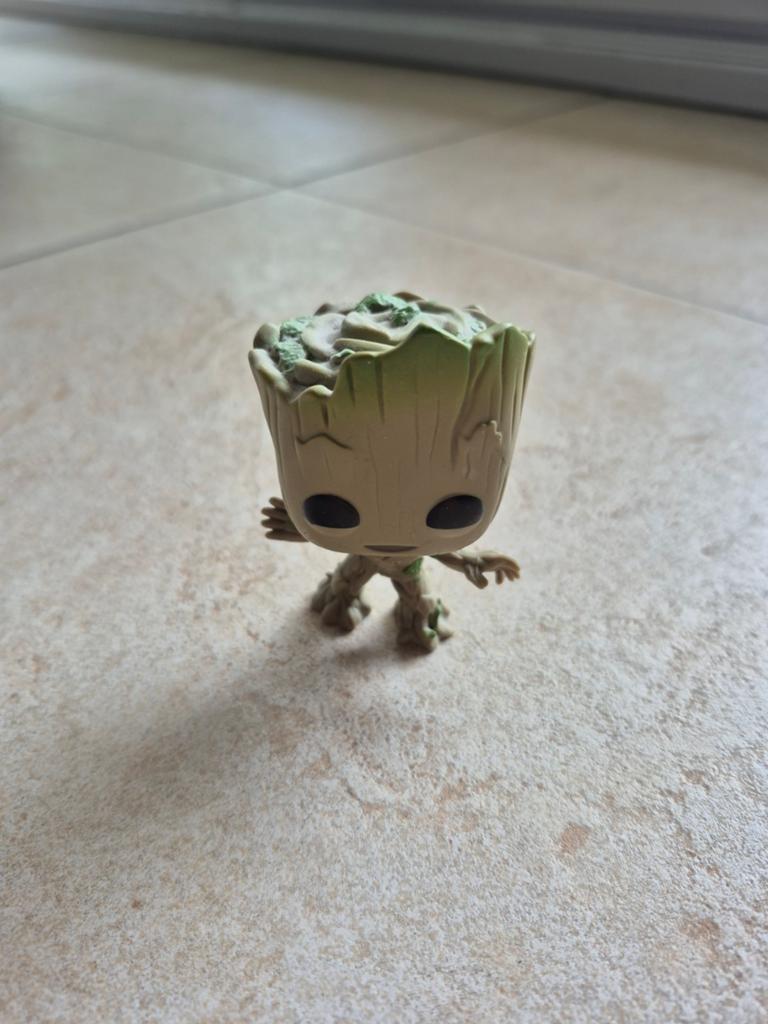 Pop Groot & IronMan, Enlèvement ou Envoi