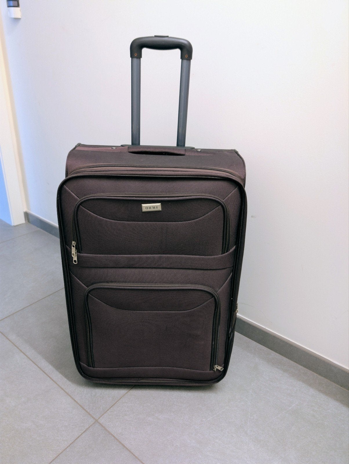 grote reiskoffer, Handtassen en Accessoires, Tassen | Reistassen en Weekendtassen, Ophalen, 20 tot 30 cm, 55 tot 75 cm, Uitschuifbare handgreep