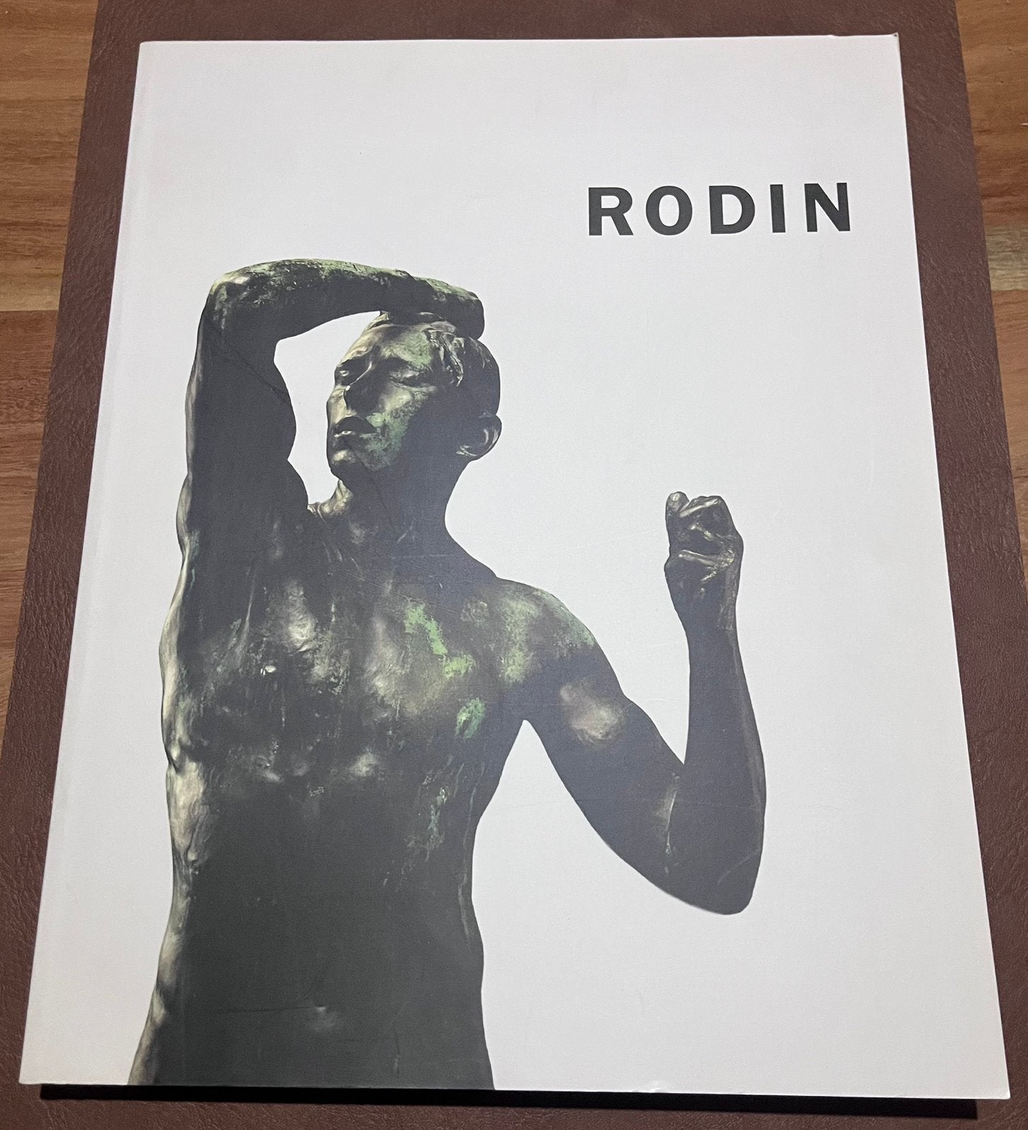 Boek - Rodin - 1995 - Nederlandstalig, Boeken, Kunst en Cultuur | Beeldend, Ophalen of Verzenden, Zo goed als nieuw, Beeldhouwkunst