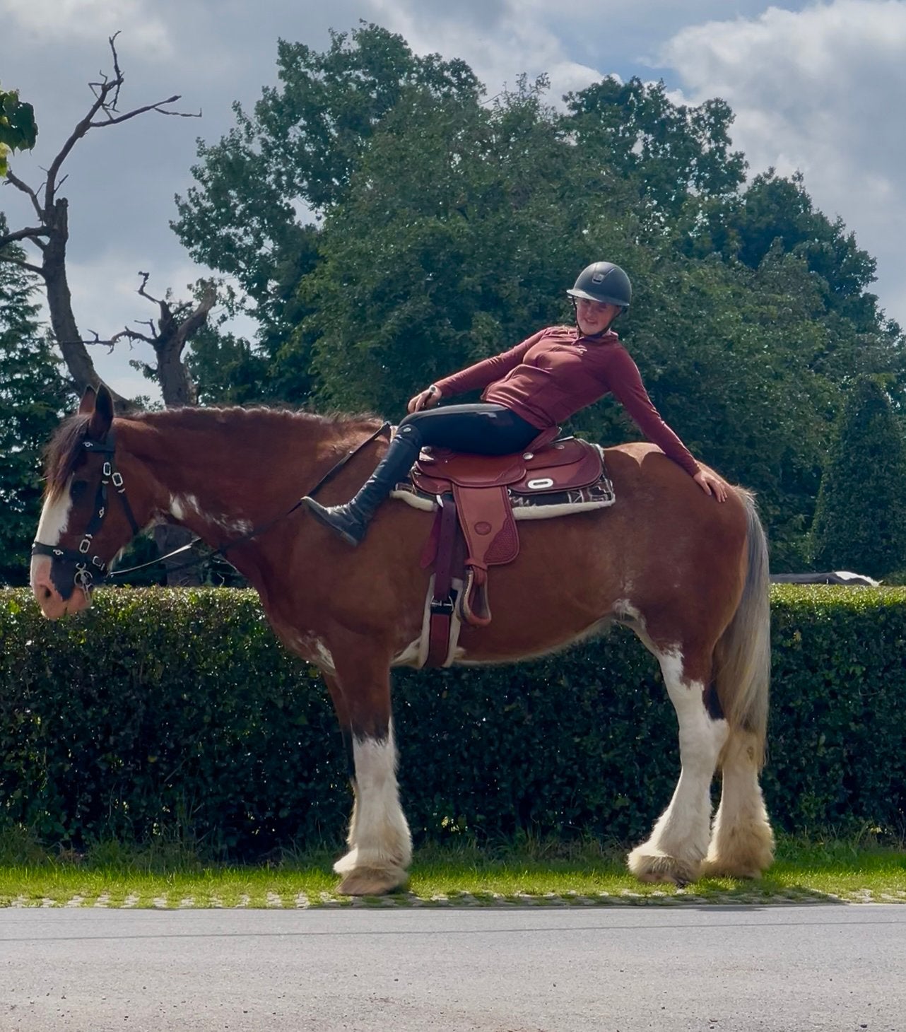 Exclusieve goudeerlijke merrie, Animaux & Accessoires, Chevaux, Jument, B, 175 cm ou plus, 11 ans ou plus, Cheval de récréation