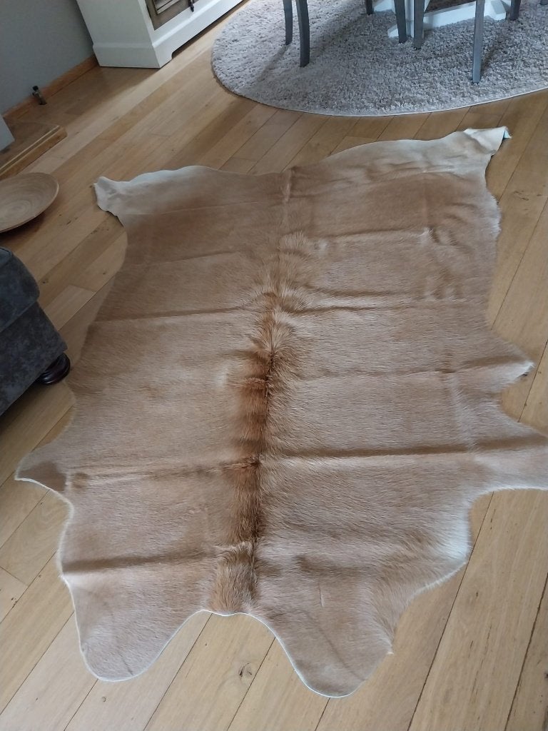 Koeienhuid, Ophalen, Beige, 150 tot 200 cm, Zo goed als nieuw