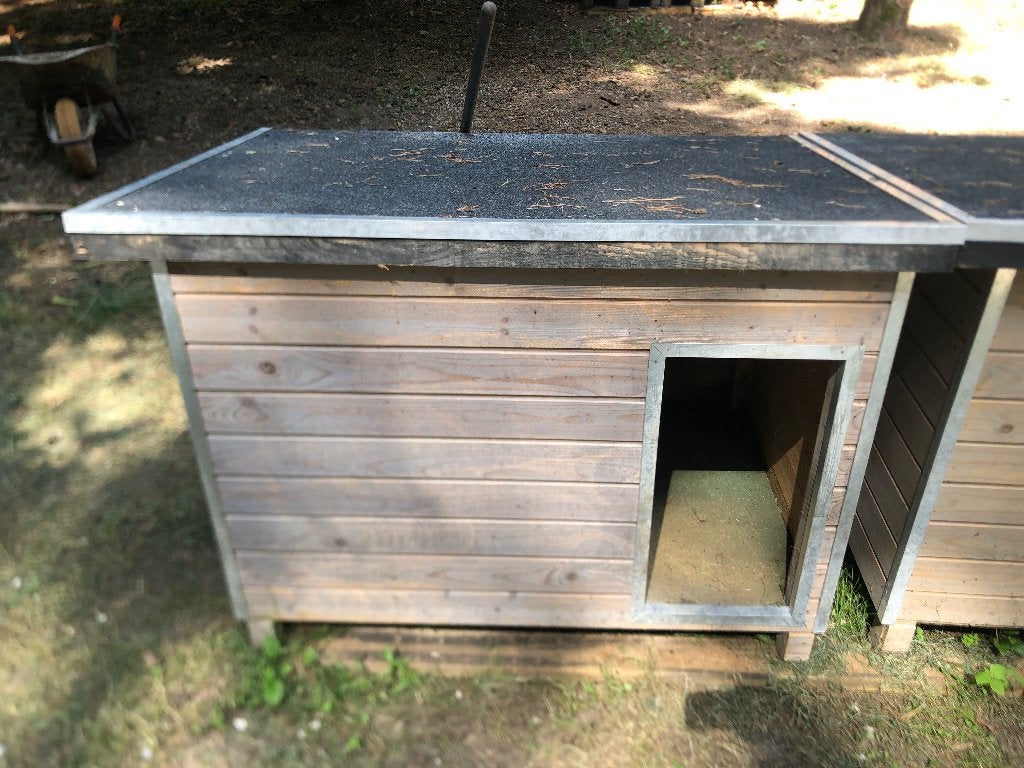 Hondenhok, Dieren en Toebehoren, Hondenhokken, Ophalen, 110 cm of meer, 100 cm of meer, Hondenhok
