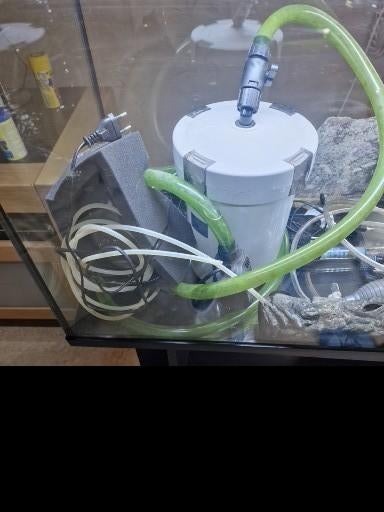 Aquarium met alles erop en eraan, Animaux & Accessoires, Enlèvement