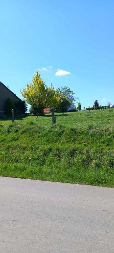 terrain à bâtir Ardennes Opont, Immo, Terrains & Terrains à bâtir, 500 à 1000 m², Ventes sans courtier