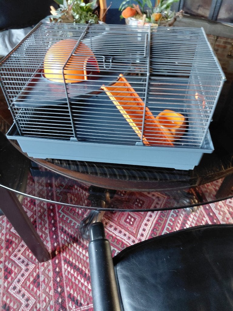 hamster kooi in nieuwstaat met bijbehoren  Indoor Zoolux, Enlèvement, Comme neuf, Niche, Hamster
