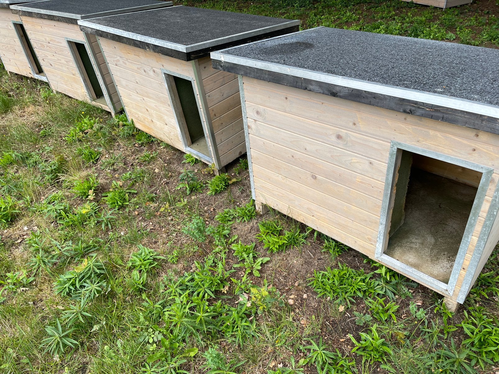 4 grote hondenhokken, Dieren en Toebehoren, Ophalen, Hondenkennel, 65 tot 100 cm, 110 cm of meer