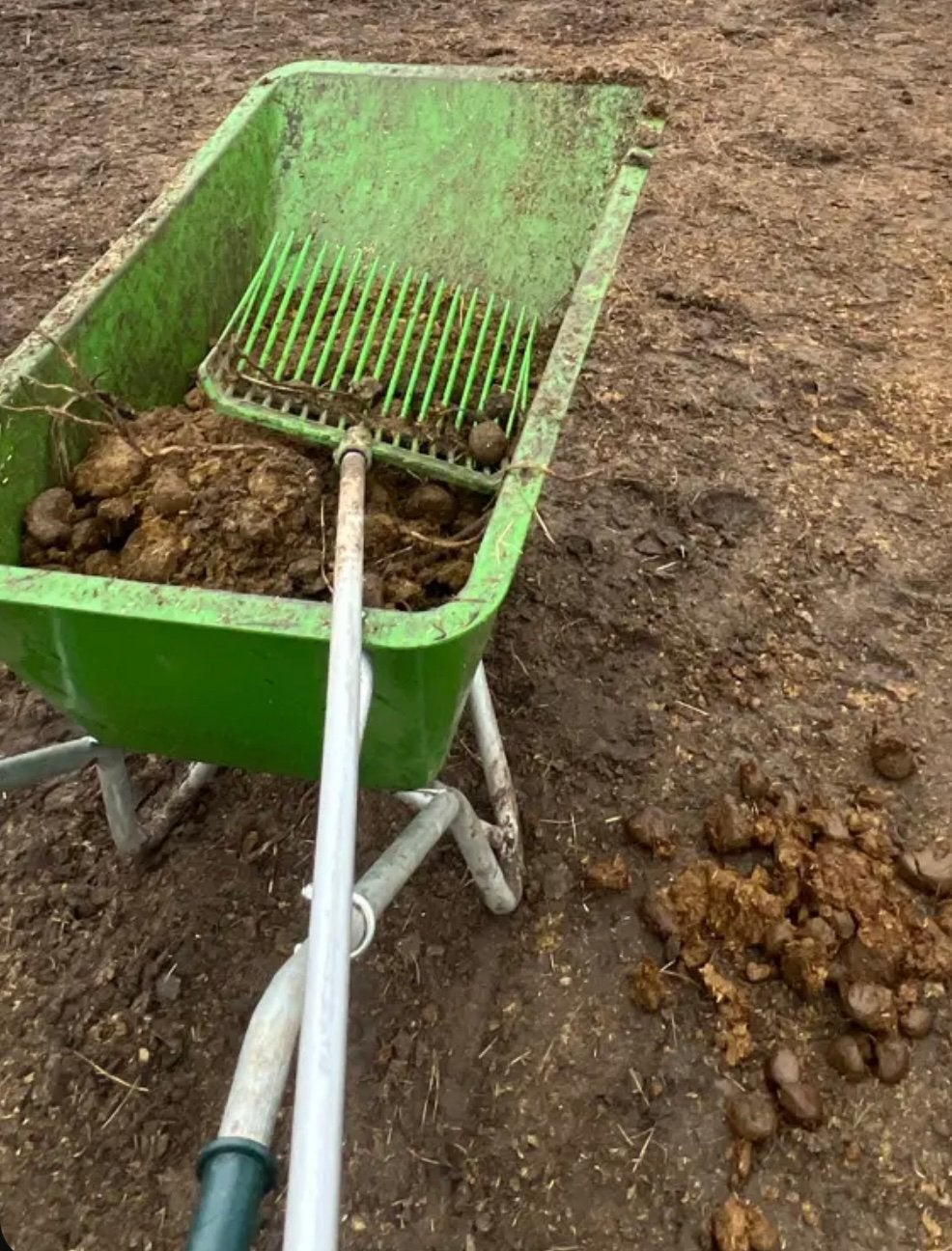 Gratis zuivere paardenmest, Enlèvement, Comme neuf