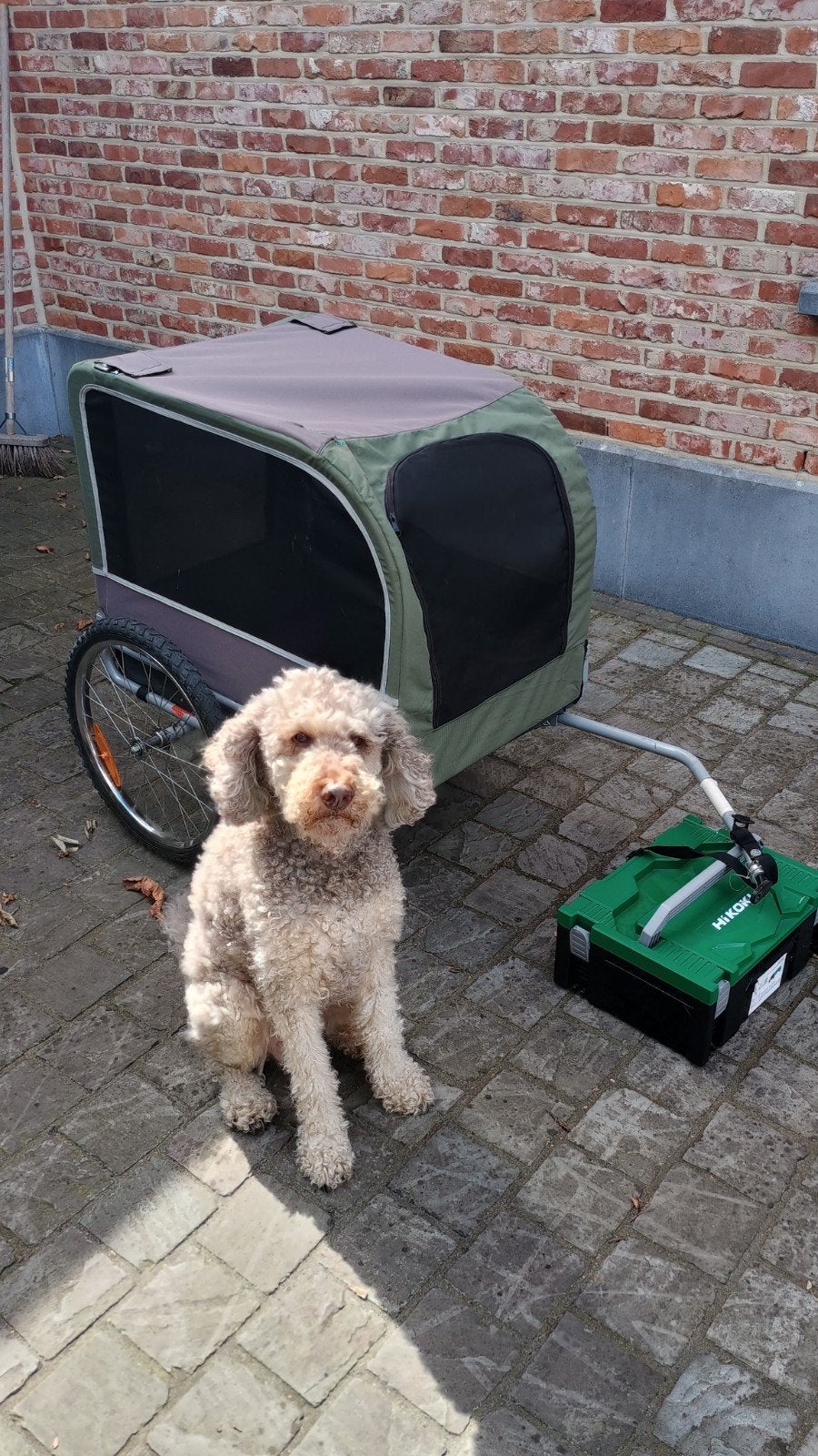 hondenkarretje voor fiets, Dieren en Toebehoren, Honden-accessoires, Ophalen, Gebruikt, Hondenfietskar
