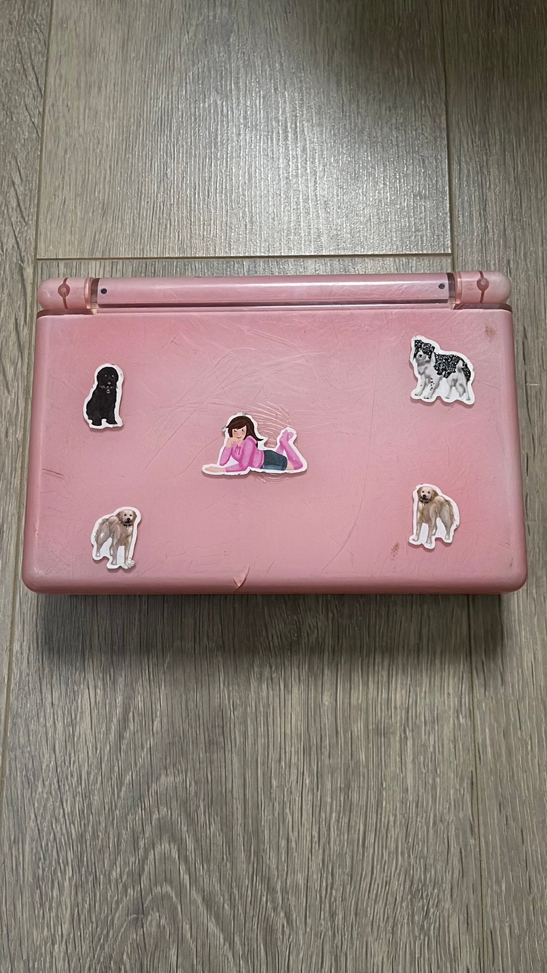 Roze Hardcase Opbergkoffer voor Nintendo DS Lite, Consoles de jeu & Jeux vidéo, Enlèvement ou Envoi, Utilisé, Rose, DS Lite