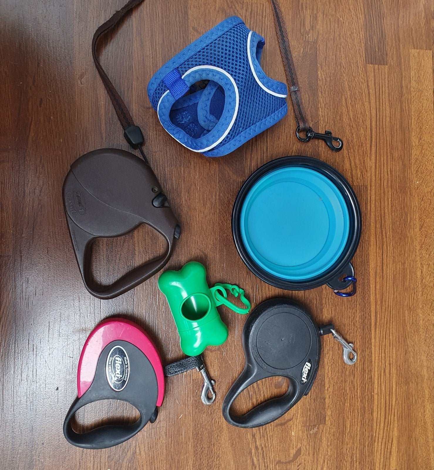 Flexi riemen, Animaux & Accessoires, Laisses pour chiens, Enlèvement