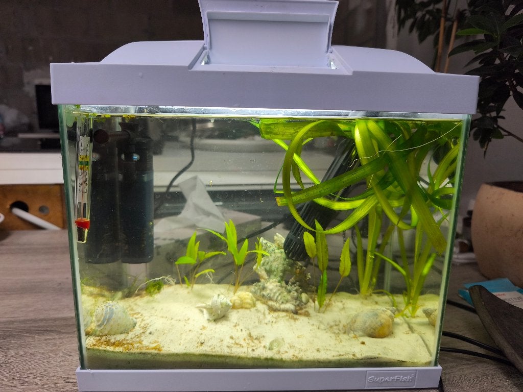 klein aquarium ( Superfish), Animaux & Accessoires, Enlèvement, Filter, Superfish