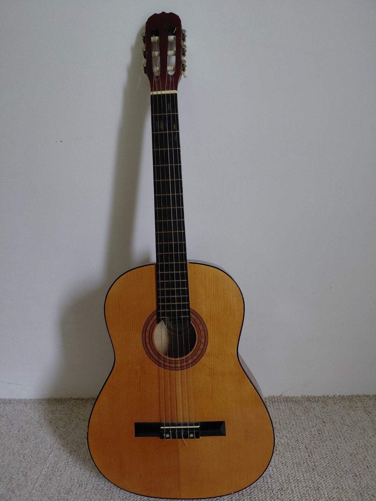 Santana CG-390 gitaar, Musique & Instruments, Enlèvement