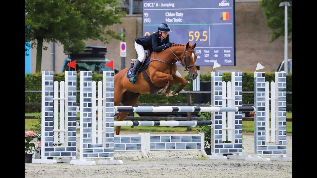 Spring/Eventing ruin te koop, Dieren en Toebehoren, Springpaard, Ruin, 7 tot 10 jaar, 160 tot 165 cm