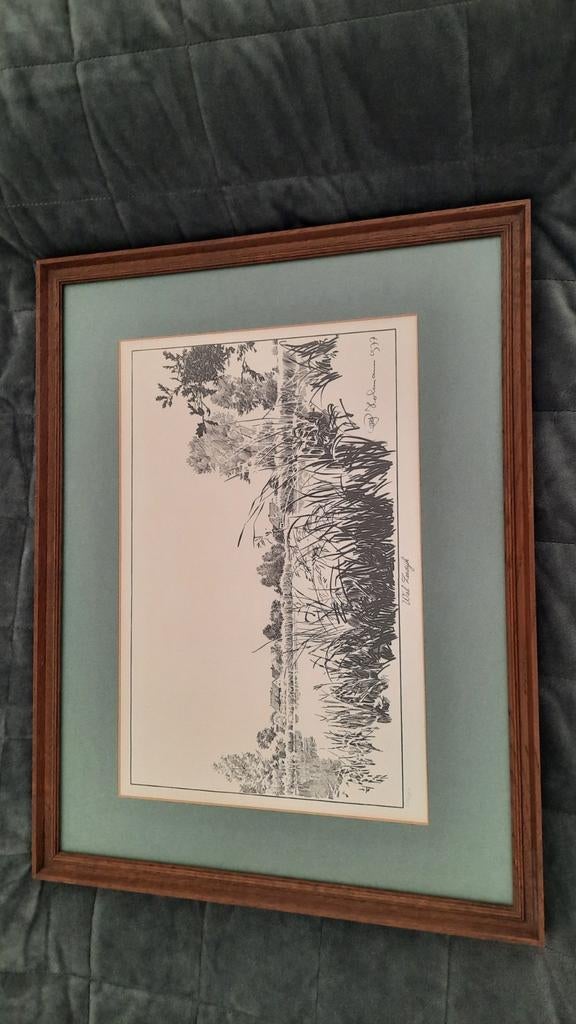 Reproduction 247/350. Wiel zeedijk, Enlèvement
