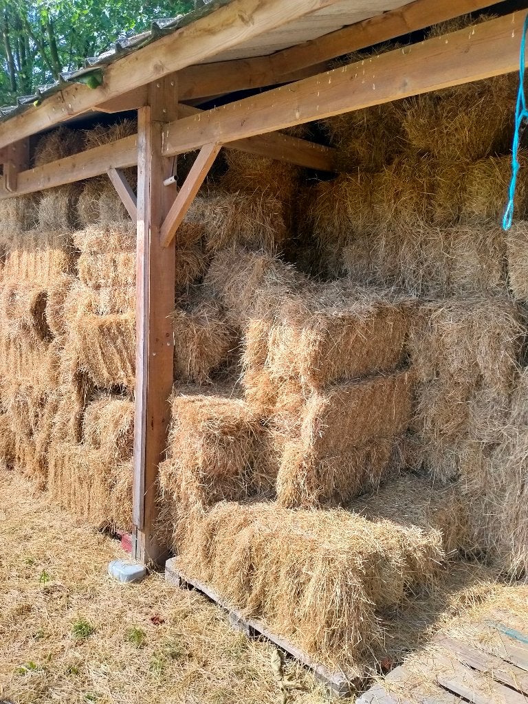 Hooi te koop, Dieren en Toebehoren, BR, Ophalen