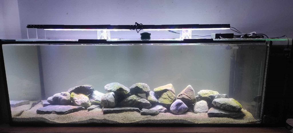 Aquarium L159xB60xH50 met alle toebehoren, Ophalen, Inclusief deksel, Zo goed als nieuw, Gevuld zeewateraquarium