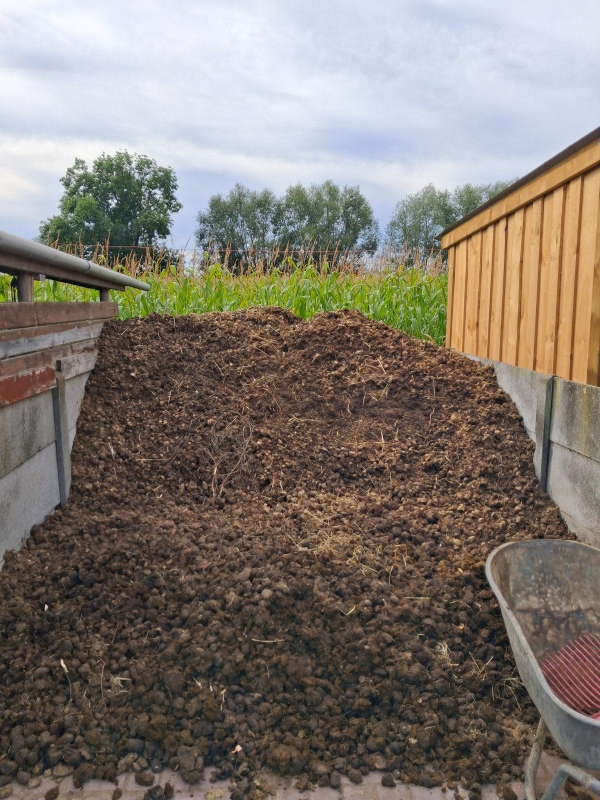 gratis paardenmest, kan gebracht worden in omgeving, Tuin en Terras, Ophalen, Mest