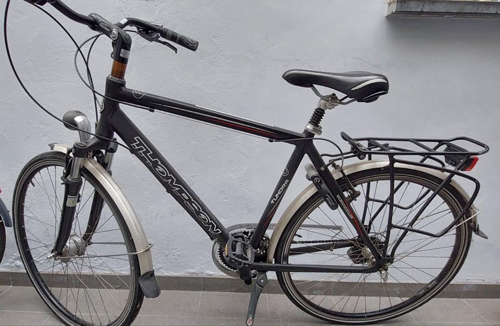 Thompson Tundra stadsfiets 28 inch, Enlèvement, Vitesses