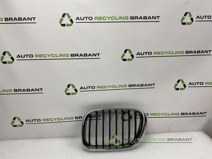 Calandre d'un BMW X5, -, 3 mois de garantie, Utilisé, -
