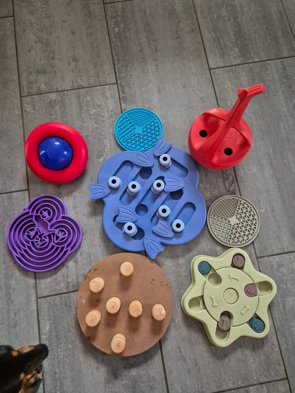 5 intelligentiespellen en 3 lickmatjes (hersenwerk), Dieren en Toebehoren, Ophalen