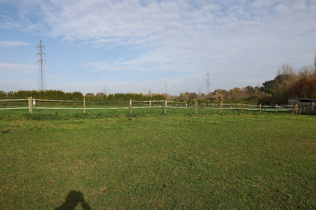 Weide te huur, Weidegang, 1 paard of pony