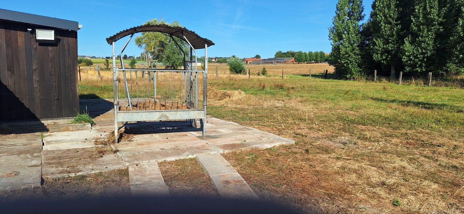 pensionplaatsen voor 4 paarden 24/24 paddock met schuilstal.