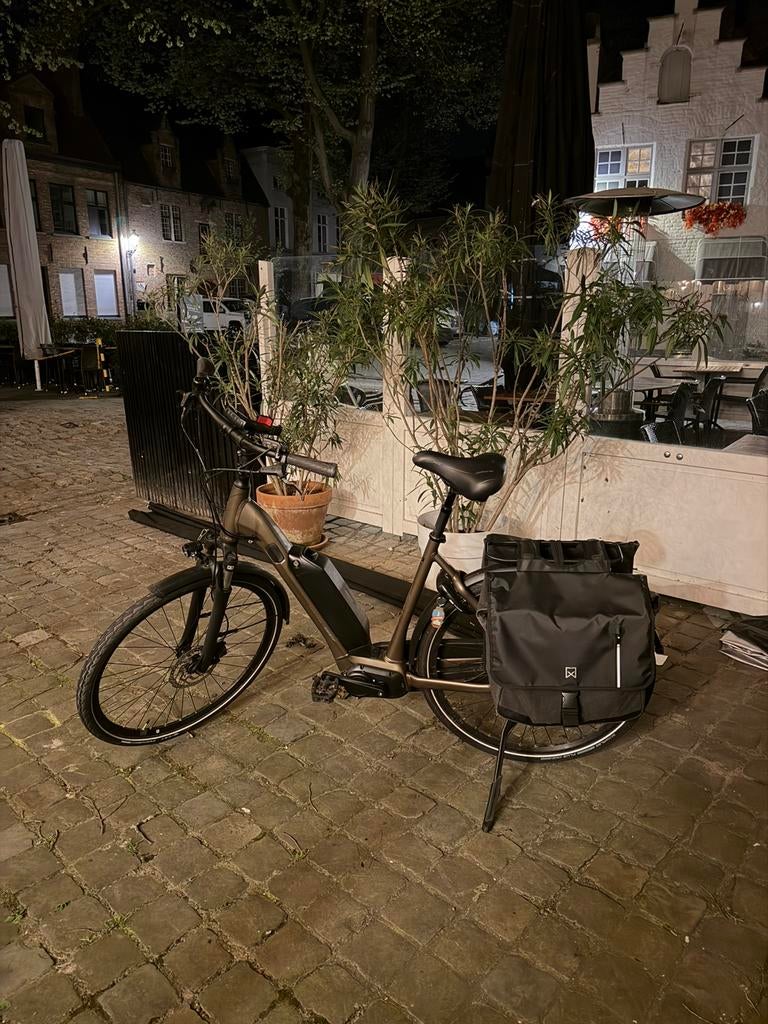 Vélo électrique Giant Expression E+2600Wh EXCELLENT ÉTAT, Vélos & Vélomoteurs, Enlèvement ou Envoi, Comme neuf