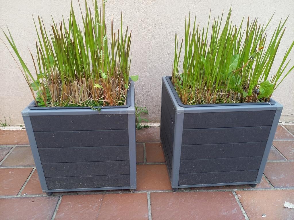 Planten + plantenbakken pvc, Ophalen