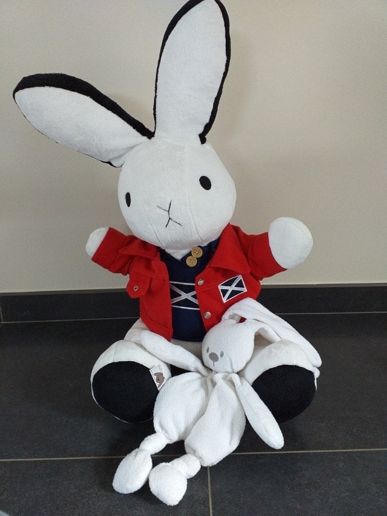 Groot knuffelkonijn, Kinderen en Baby's, Ophalen of Verzenden, Gebruikt, Konijn