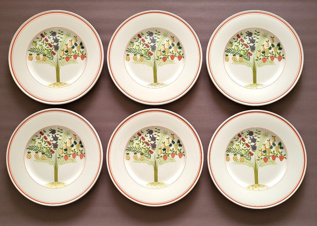 ✔️Villeroy & Boch APETITO 6 X dinerborden, Verzenden