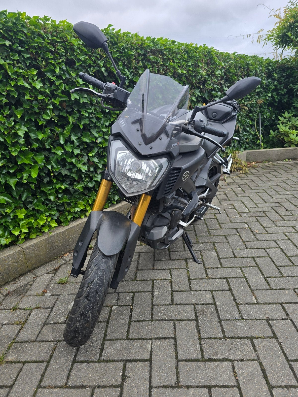 125cc yamaha, Motoren