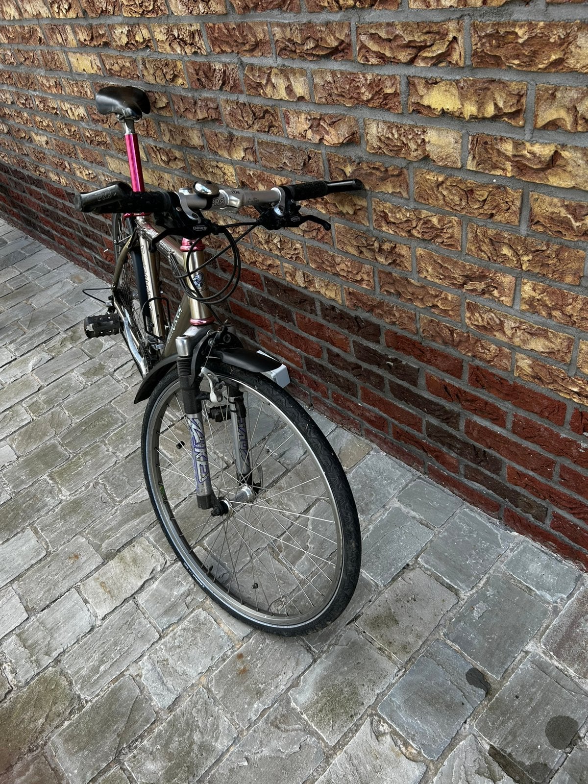 Sportfiets heren, Gebruikt, Velgrem, Meer dan 20 versnellingen, 65 cm of meer