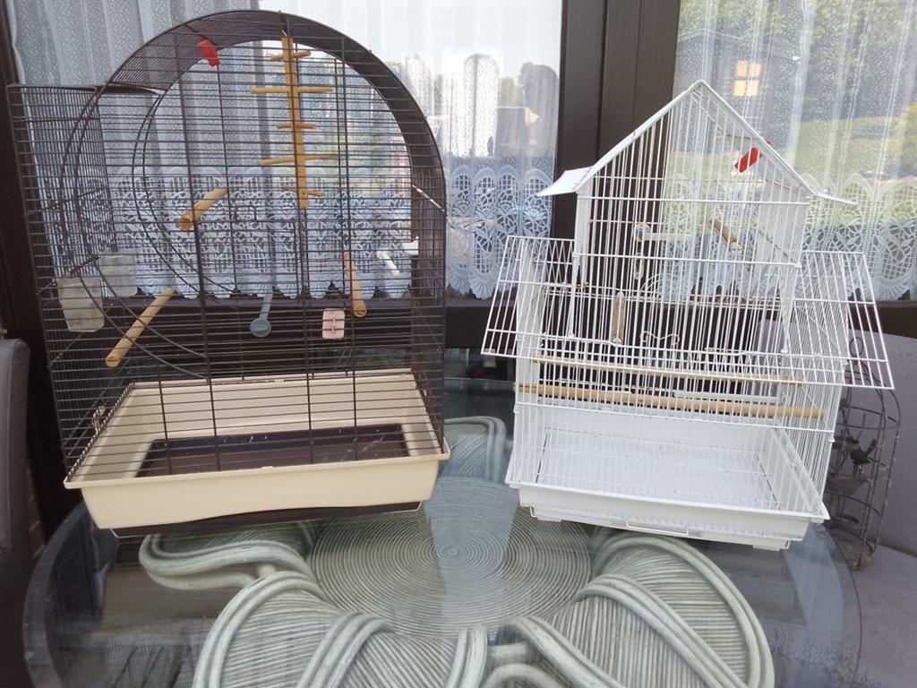 Vend 4 cages de canari et perruche, Animaux & Accessoires, Oiseaux | Cages & Volières, Enlèvement ou Envoi, Utilisé, Métal, Cage à oiseaux