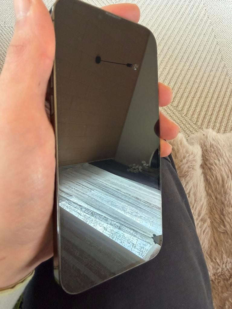 13 pro max 1 TB, Télécoms, Téléphonie mobile | Housses, Coques & Façades | Apple iPhone, Comme neuf, IPhone 13 Pro Max, Enlèvement