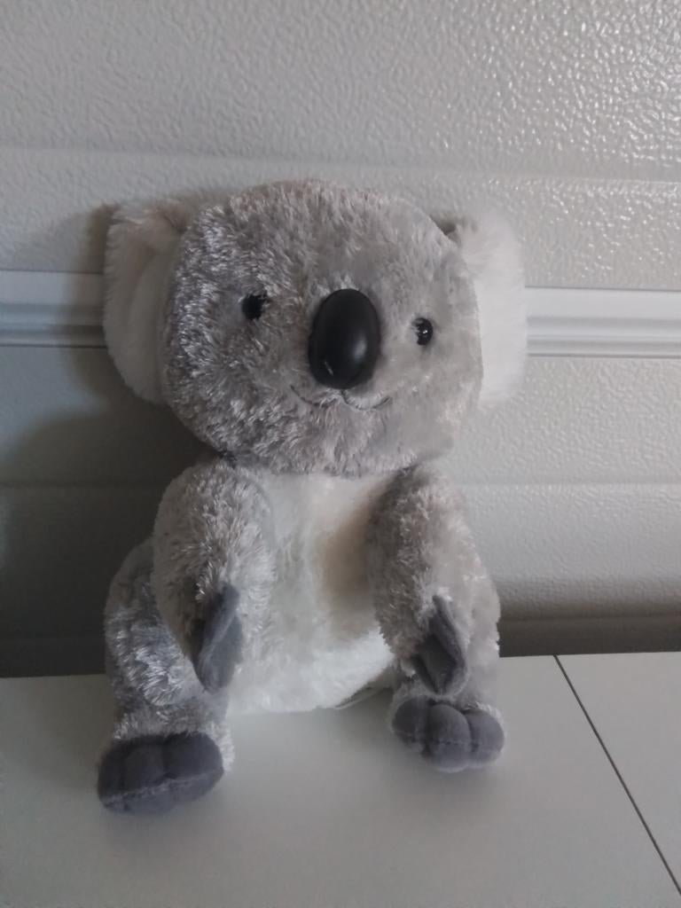 Knuffel koala, Enlèvement, Comme neuf, Autres types, Petit (moins de 20 cm)