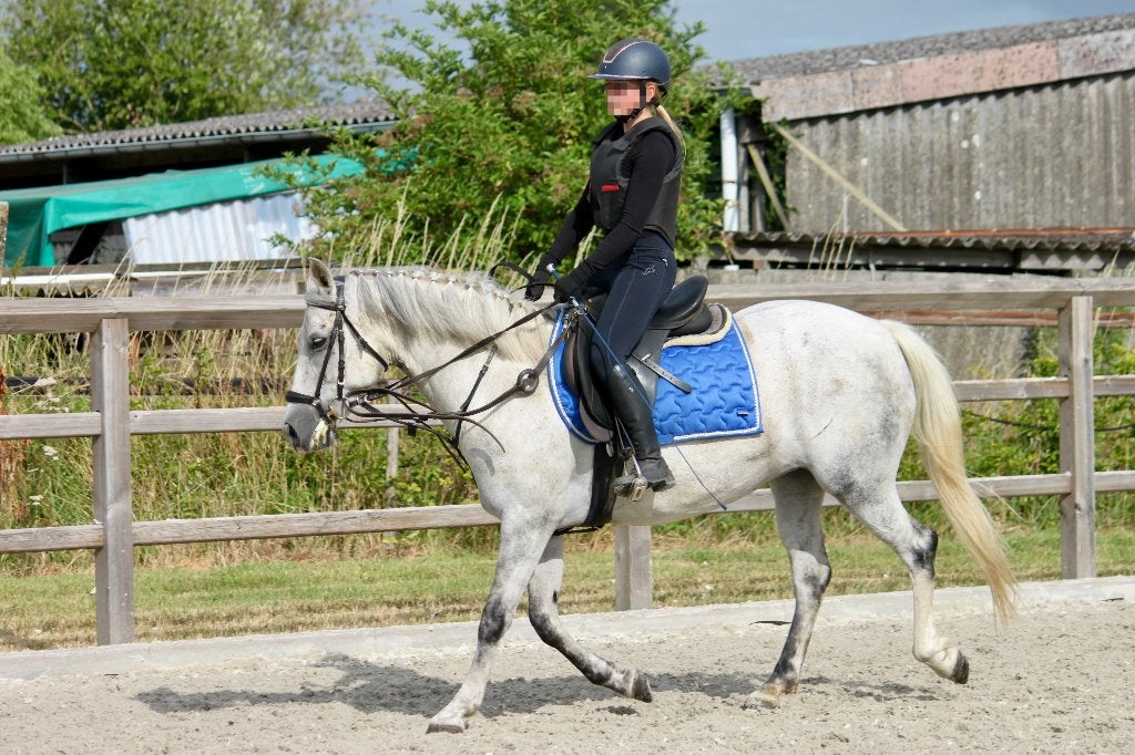 paardje merrie 10 j, Merrie, Minder dan 160 cm, Gechipt, 7 tot 10 jaar
