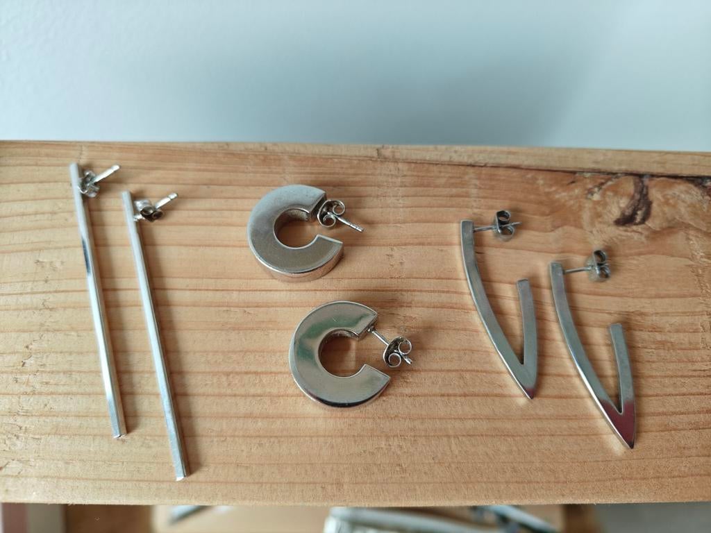 Stainless steel oorbellen, Handtassen en Accessoires, Oorbellen, Ophalen