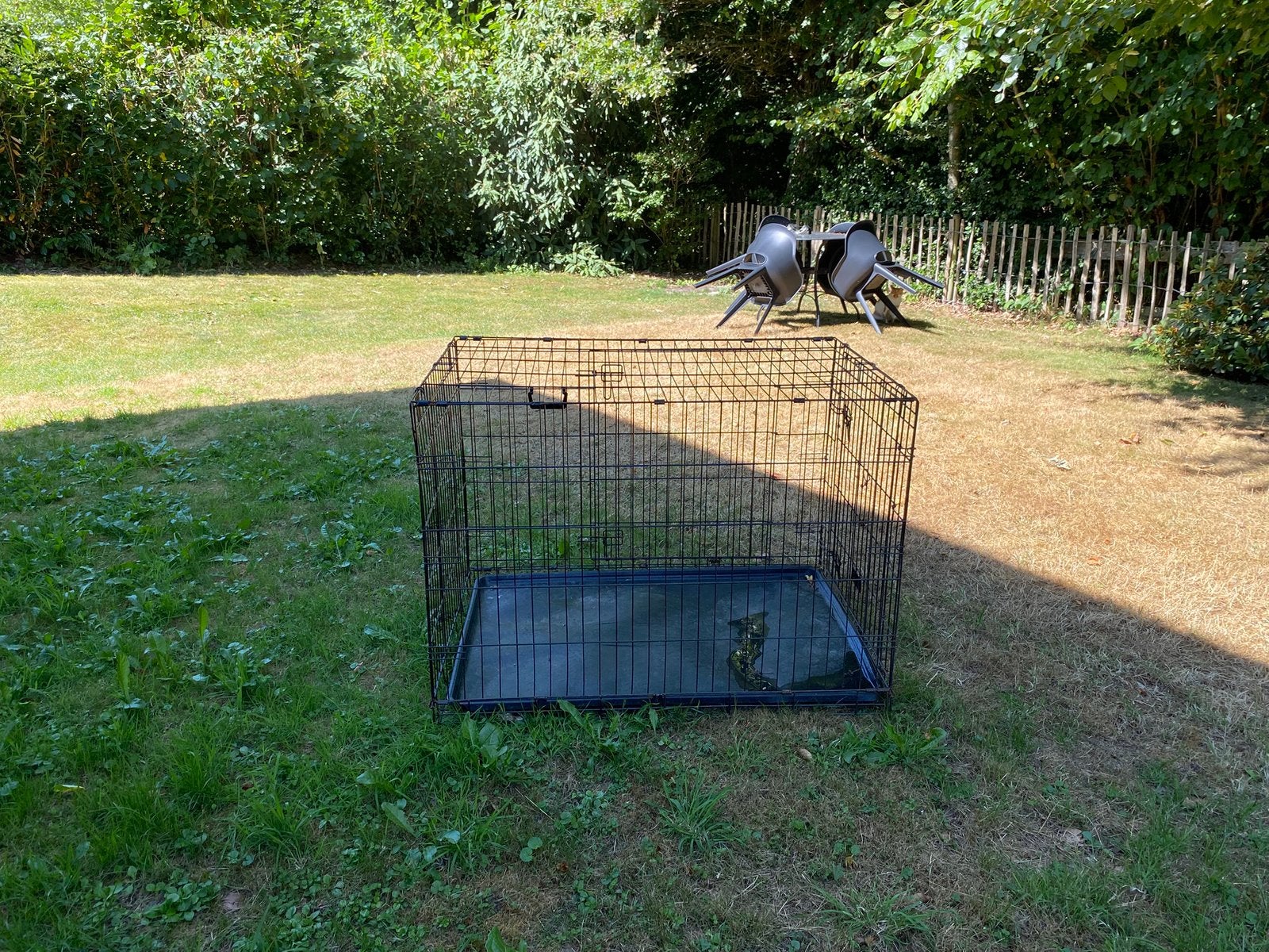 Cage pour chien, Animaux & Accessoires, Accessoires