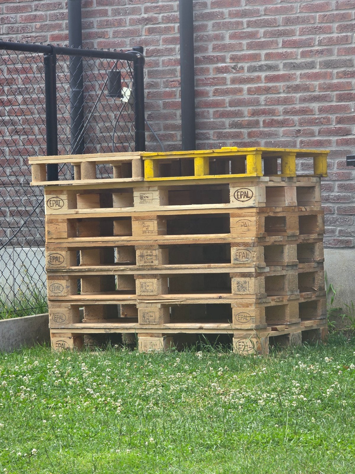 Palettes, Enlèvement