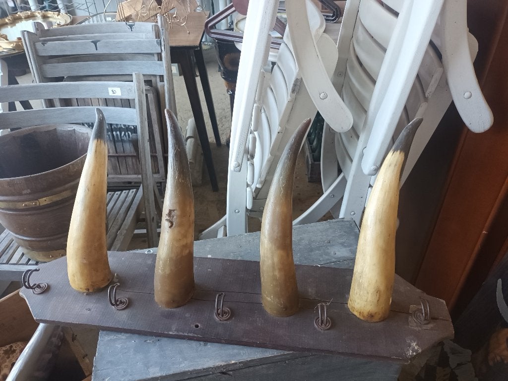 Kapstok met hoorns, Ophalen of Verzenden