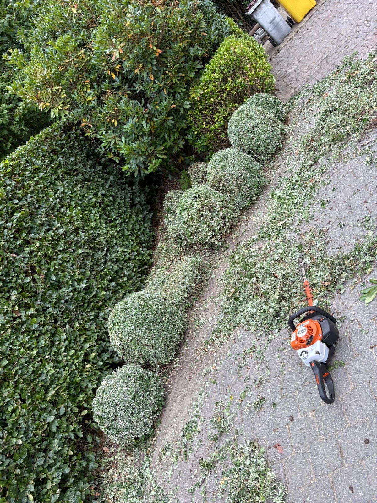 TUINONDERHOUD – MEERHOUT & OMGEVING ^tuinman^, Services & Professionnels, Entretien de jardins ou Taille