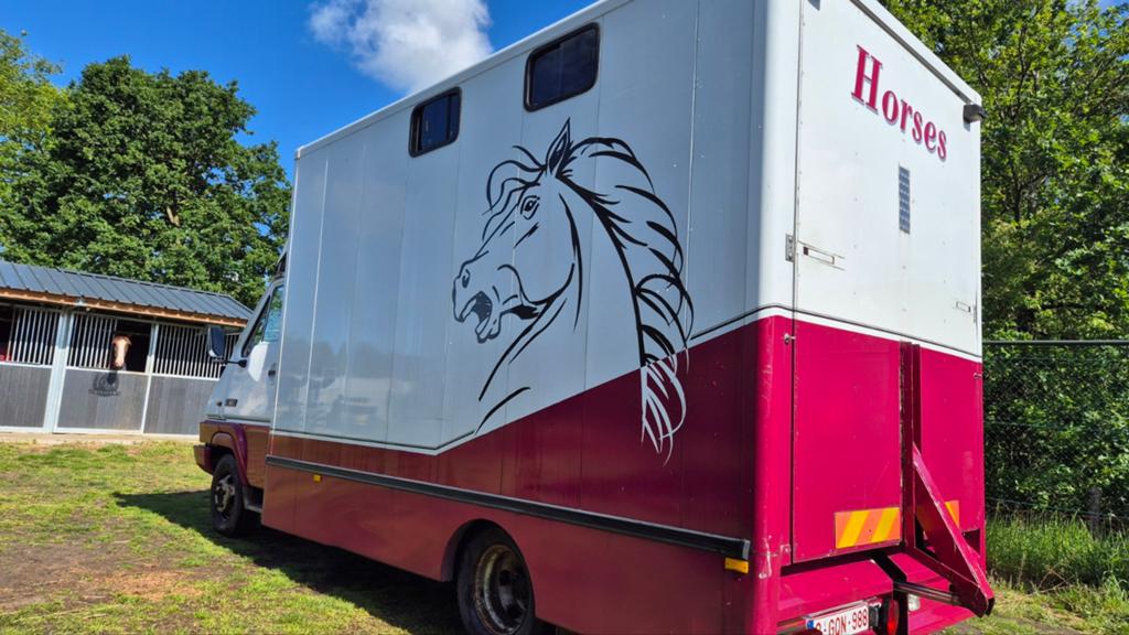 Camion pour 3 chevaux avec sellerie séparée, Achat, 3 places, Diesel, Particulier